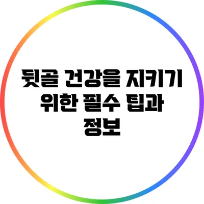 뒷골 건강을 지키기 위한 필수 팁과 정보