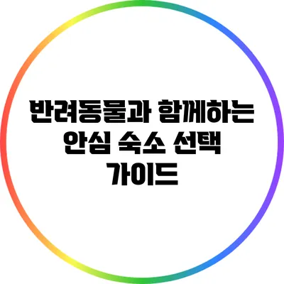 반려동물과 함께하는 안심 숙소 선택 가이드