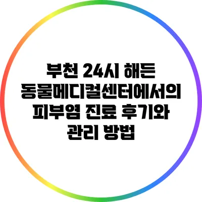 부천 24시 해든 동물메디컬센터에서의 피부염 진료 후기와 관리 방법