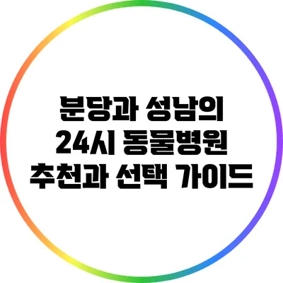 분당과 성남의 24시 동물병원 추천과 선택 가이드