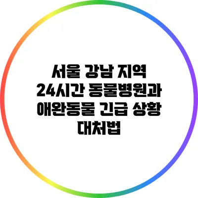 서울 강남 지역 24시간 동물병원과 애완동물 긴급 상황 대처법