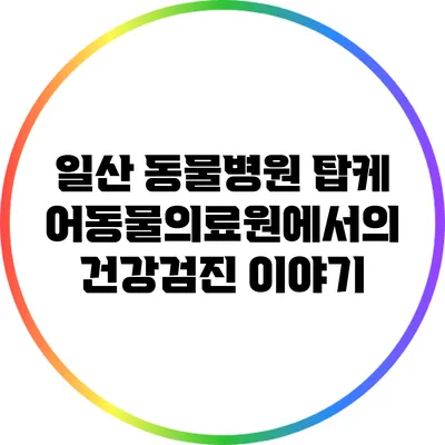 일산 동물병원 탑케어동물의료원에서의 건강검진 이야기
