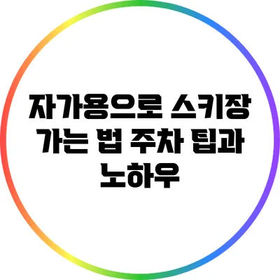 자가용으로 스키장 가는 법: 주차 팁과 노하우