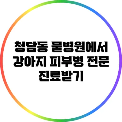 청담동 물병원에서 강아지 피부병 전문 진료받기