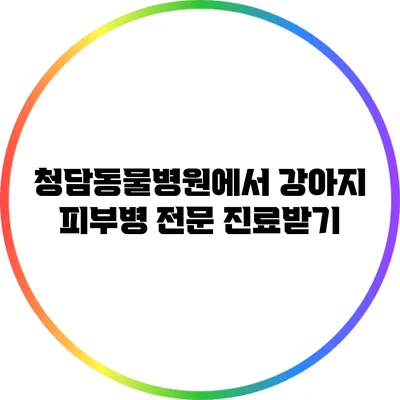 청담동물병원에서 강아지 피부병 전문 진료받기