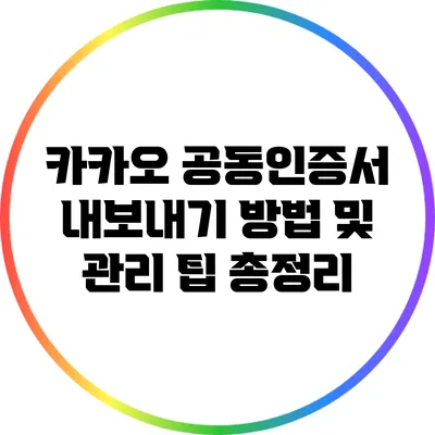 카카오 공동인증서 내보내기 방법 및 관리 팁 총정리
