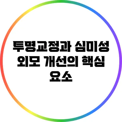 투명교정과 심미성: 외모 개선의 핵심 요소