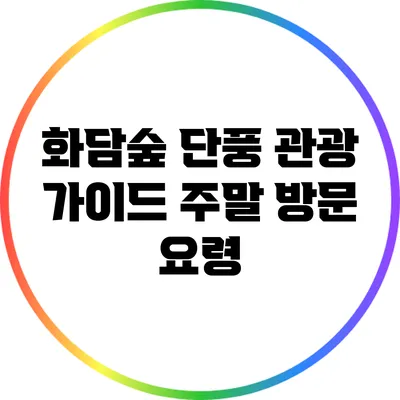 화담숲 단풍 관광 가이드: 주말 방문 요령