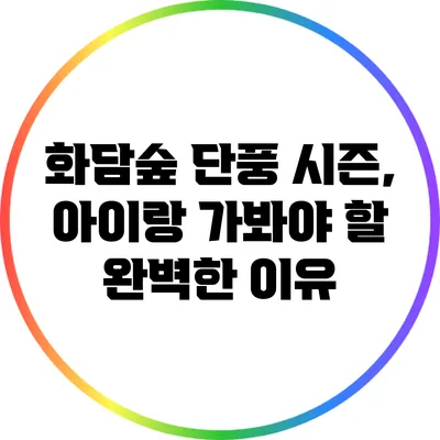 화담숲 단풍 시즌, 아이랑 가봐야 할 완벽한 이유