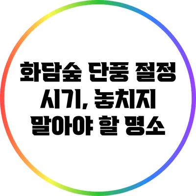 화담숲 단풍 절정 시기, 놓치지 말아야 할 명소