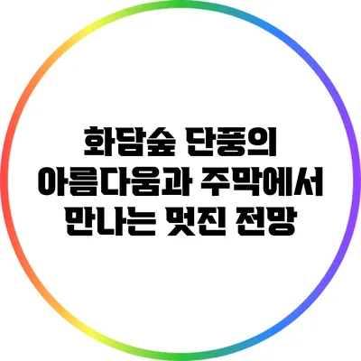 화담숲 단풍의 아름다움과 주막에서 만나는 멋진 전망
