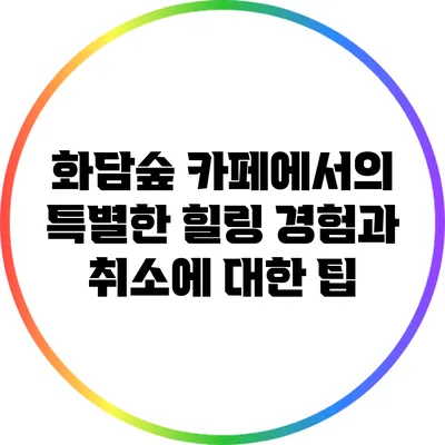 화담숲 카페에서의 특별한 힐링 경험과 취소에 대한 팁