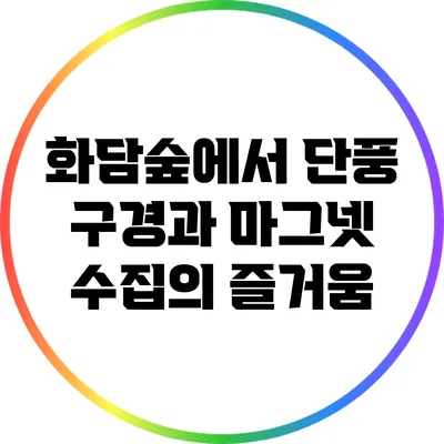 화담숲에서 단풍 구경과 마그넷 수집의 즐거움