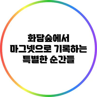화담숲에서 마그넷으로 기록하는 특별한 순간들