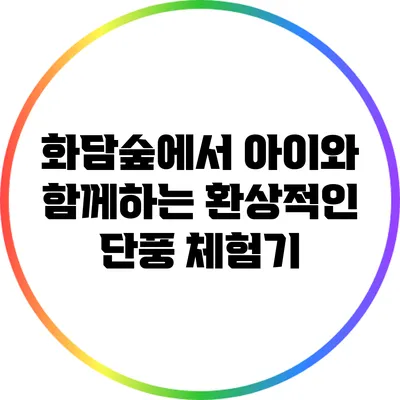 화담숲에서 아이와 함께하는 환상적인 단풍 체험기