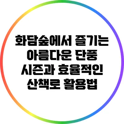 화담숲에서 즐기는 아름다운 단풍 시즌과 효율적인 산책로 활용법