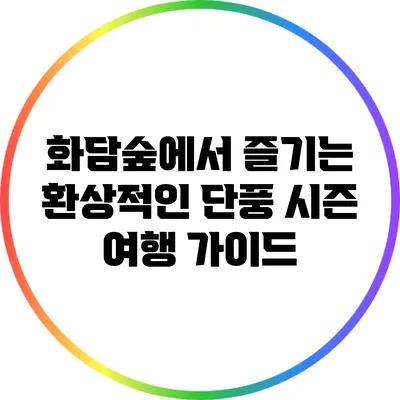 화담숲에서 즐기는 환상적인 단풍 시즌 여행 가이드