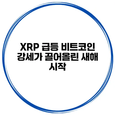 XRP 급등 비트코인 강세가 끌어올린 새해 시작