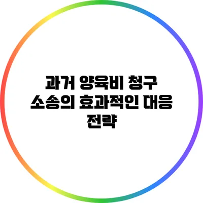 과거 양육비 청구 소송의 효과적인 대응 전략