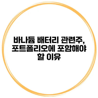 바나듐 배터리 관련주, 포트폴리오에 포함해야 할 이유
