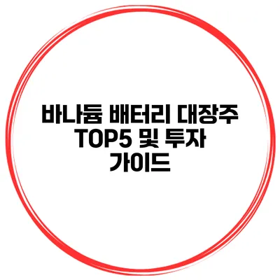 바나듐 배터리 대장주 TOP5 및 투자 가이드