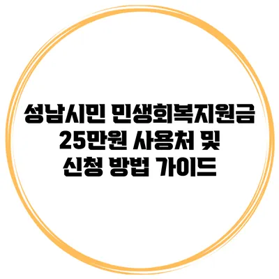 성남시민 민생회복지원금 25만원 사용처 및 신청 방법 가이드