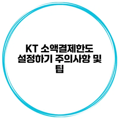 KT 소액결제한도 설정하기: 주의사항 및 팁