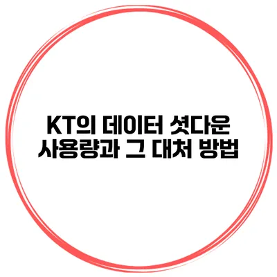 KT의 데이터 셧다운 사용량과 그 대처 방법