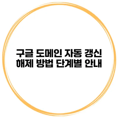 구글 도메인 자동 갱신 해제 방법 단계별 안내