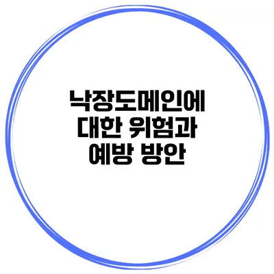낙장도메인에 대한 위험과 예방 방안