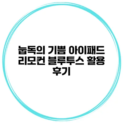 눕독의 기쁨 아이패드 리모컨 블루투스 활용 후기