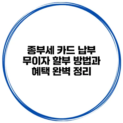 종부세 카드 납부 무이자 할부 방법과 혜택 완벽 정리