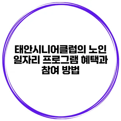 태안시니어클럽의 노인 일자리 프로그램 혜택과 참여 방법